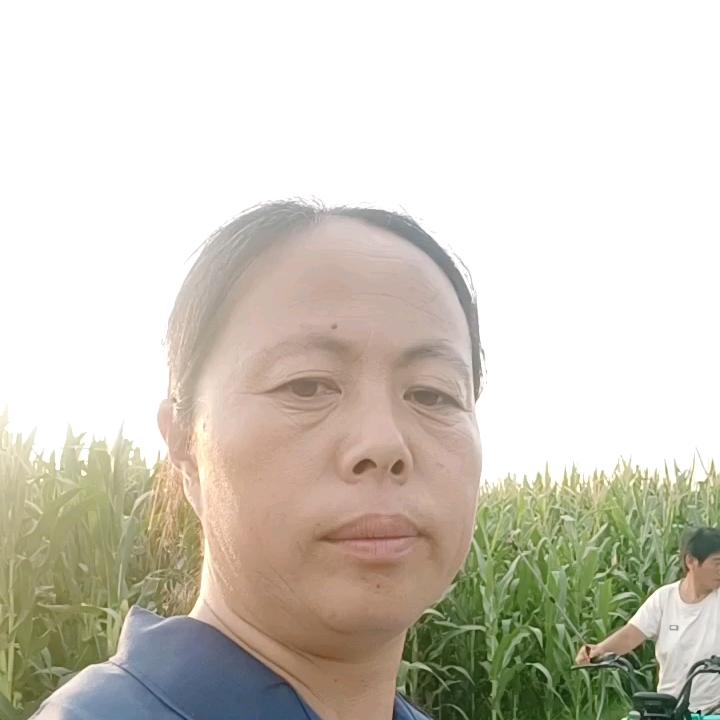 围裙姐