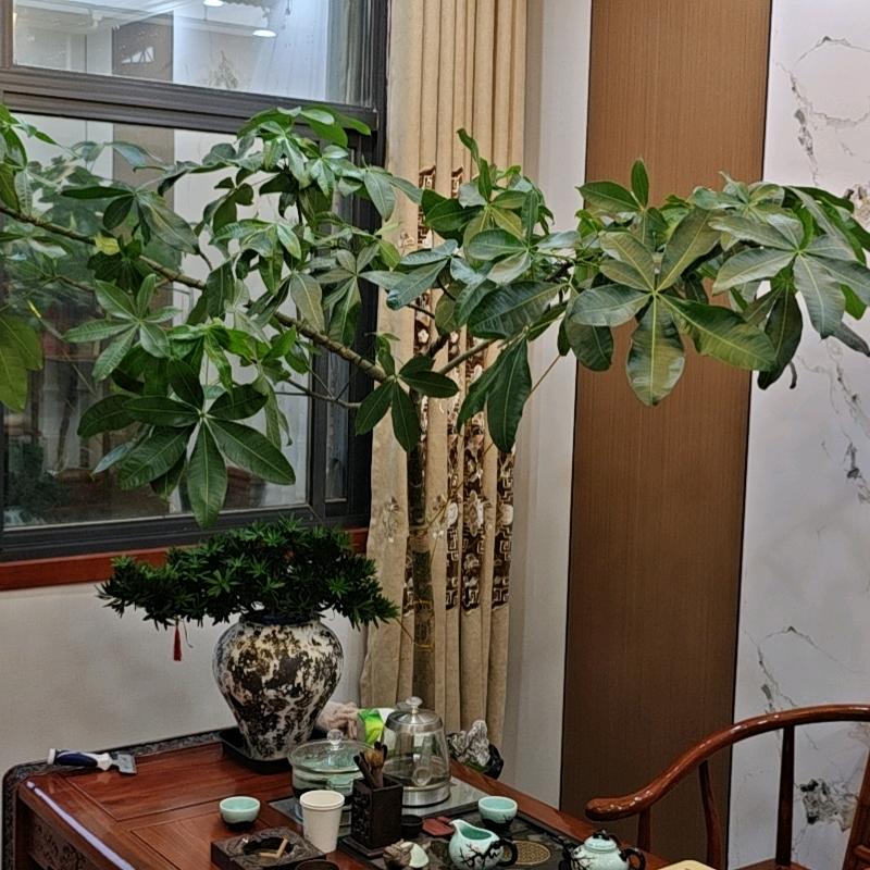 西安尔朴包装有限公司