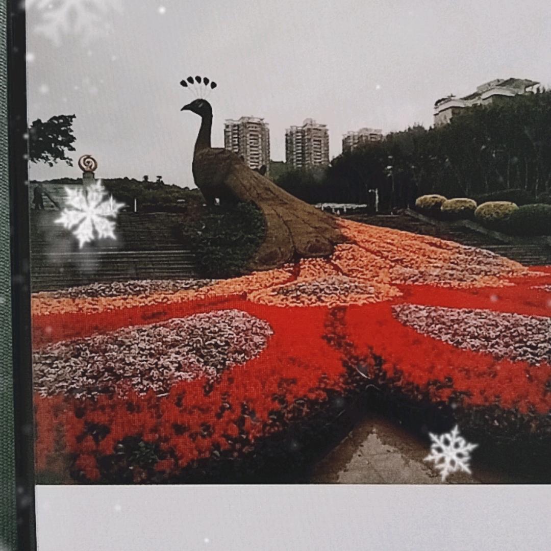 东北一姐