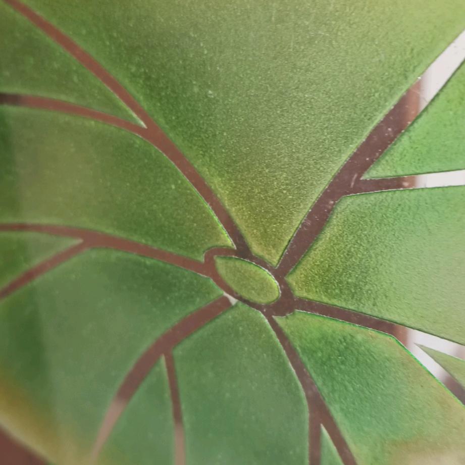 木目