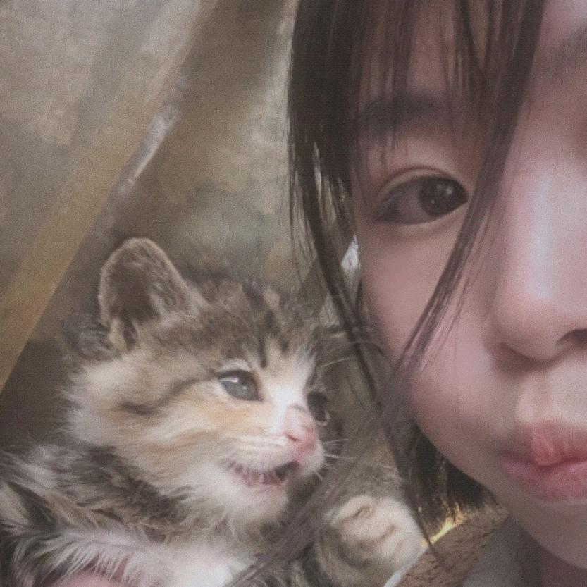 一头鱼