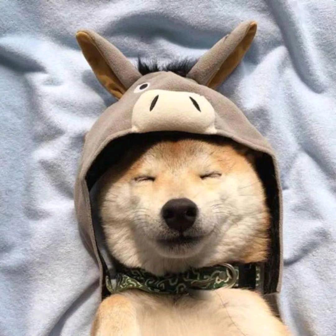 笑。泪