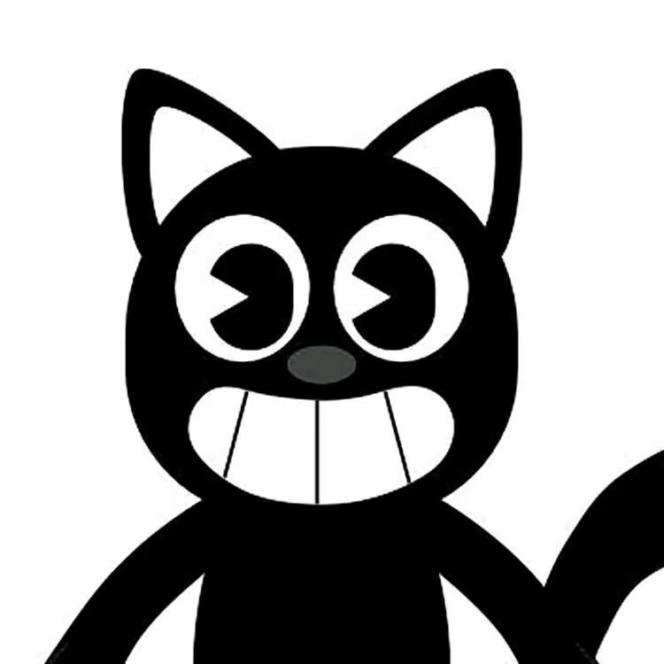 喀什黑猫