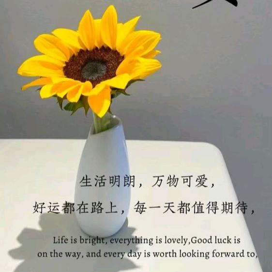 焦糖布丁〆、