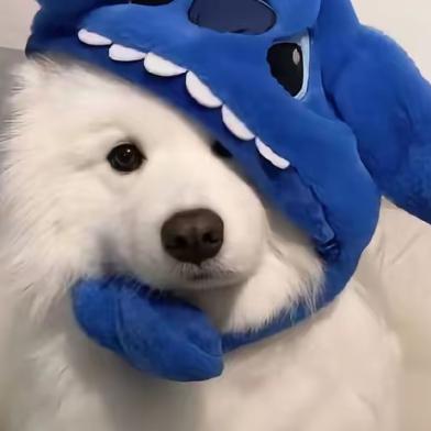 杰杰
