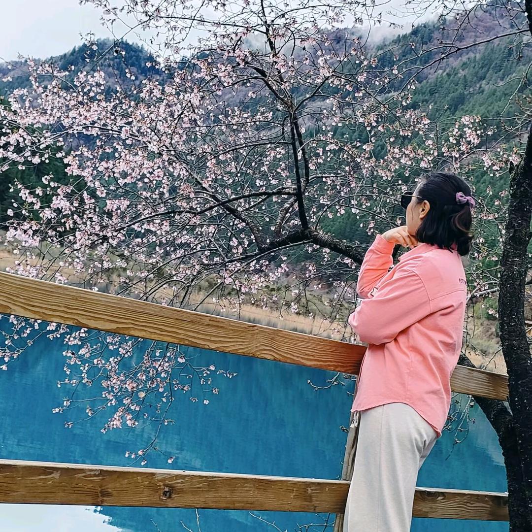 宏岩雁
