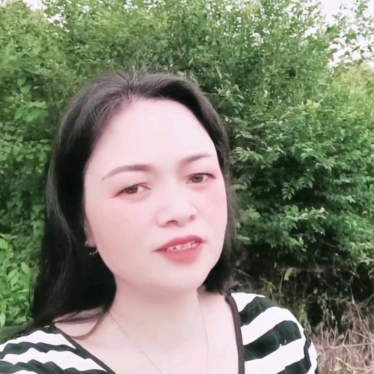 叶梅
