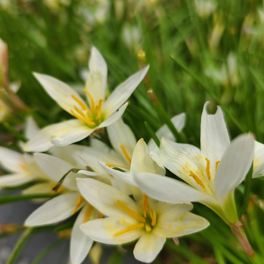 简单的幸福是快乐