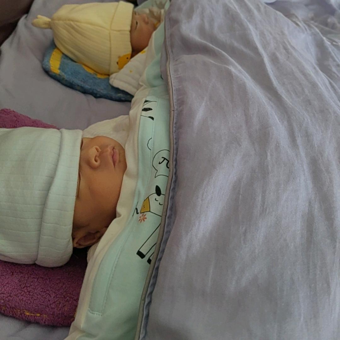 飞飞（带娃中）