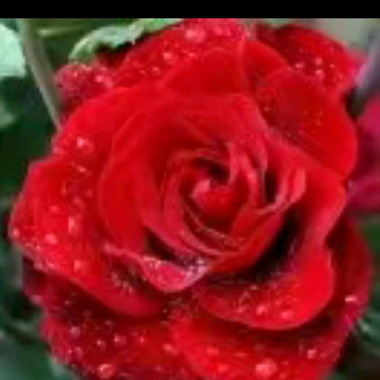 💖ღ余生᭄爱ღ自己᭄ꦿ꯭💖