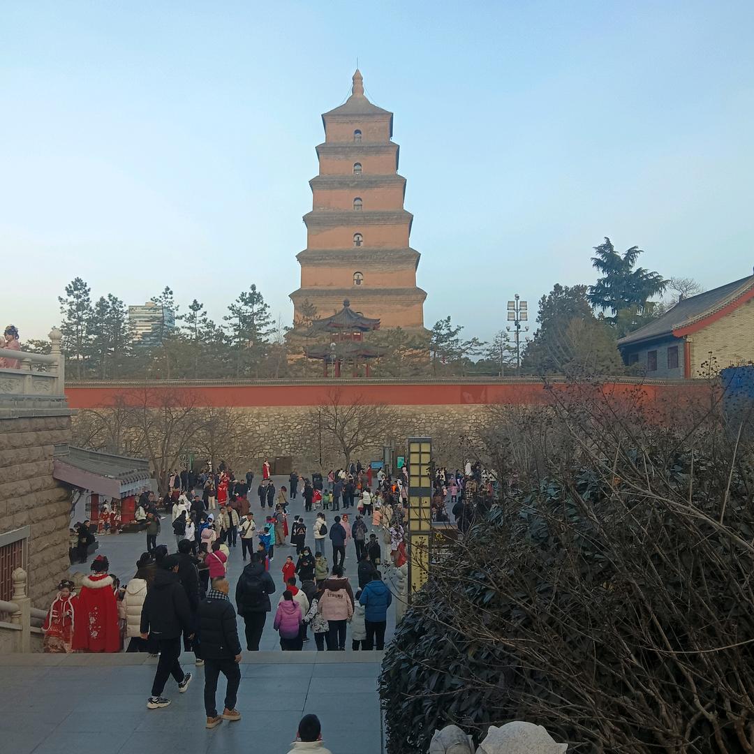 阳光