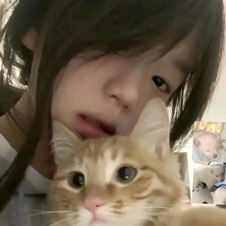 只只只...