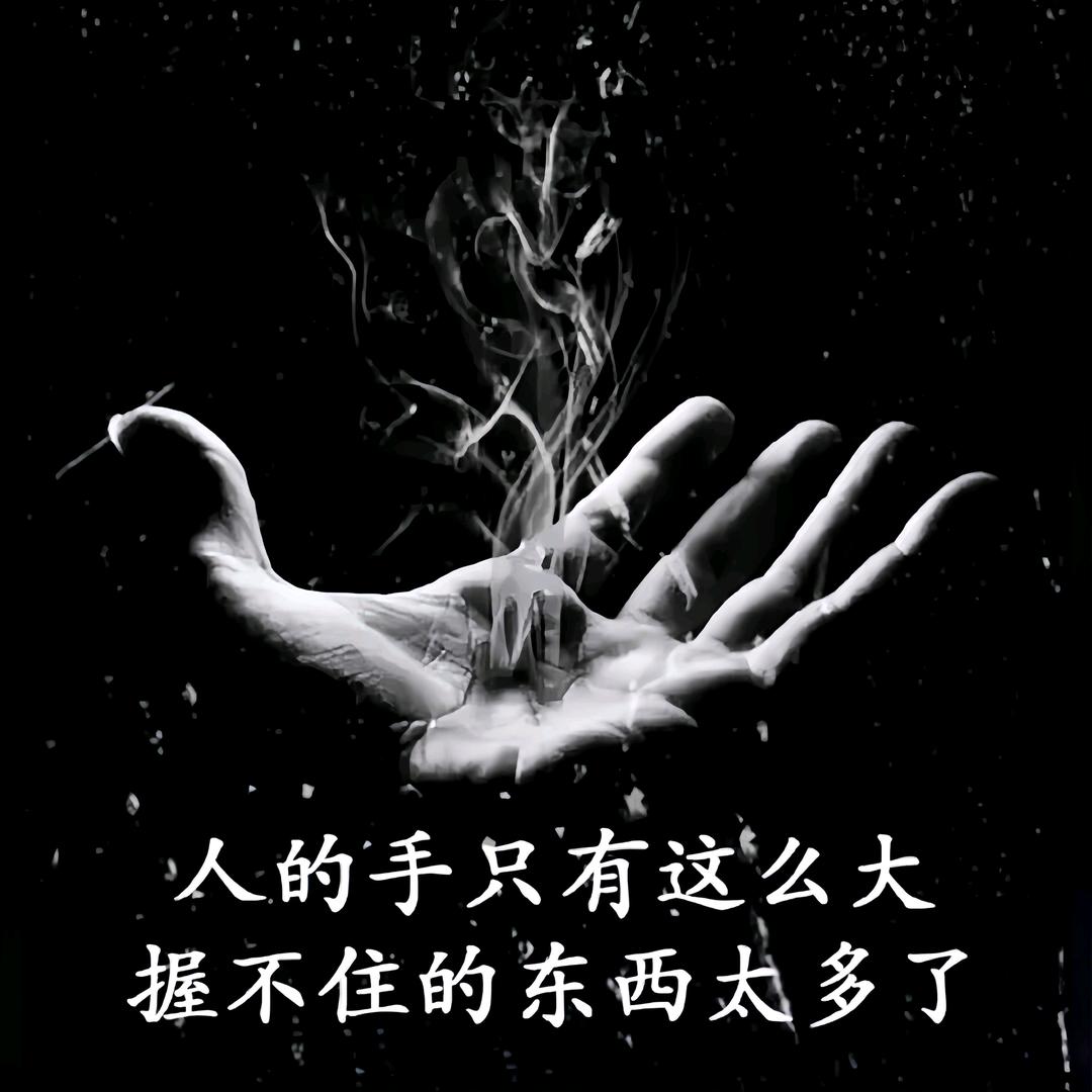 风筝和蜗牛下象棋