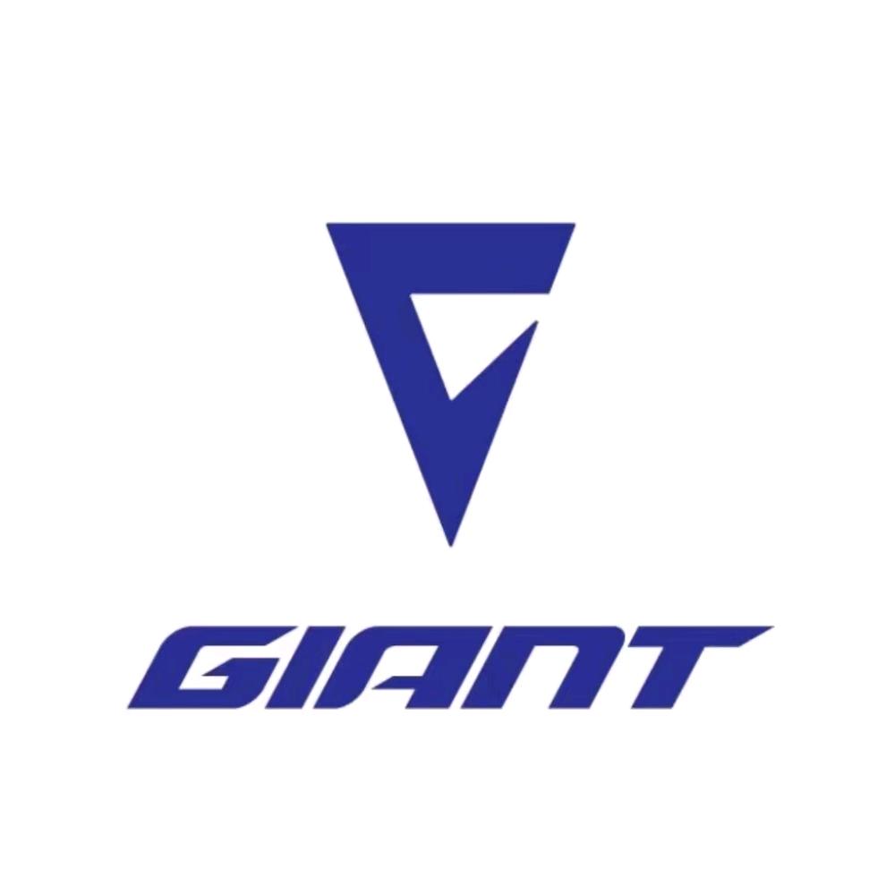 捷安特—丽以芙鞍山八中店