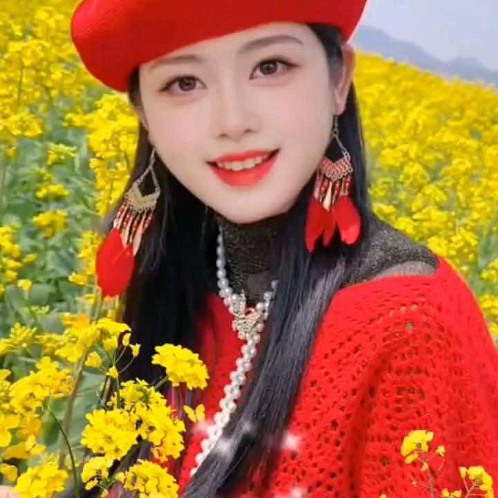 招財進寶