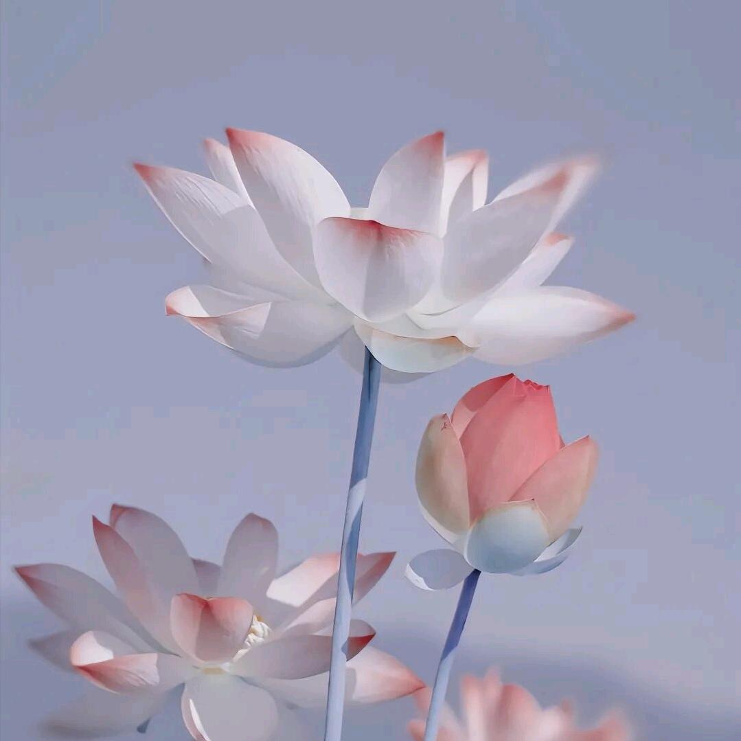 ☀流水花开☀