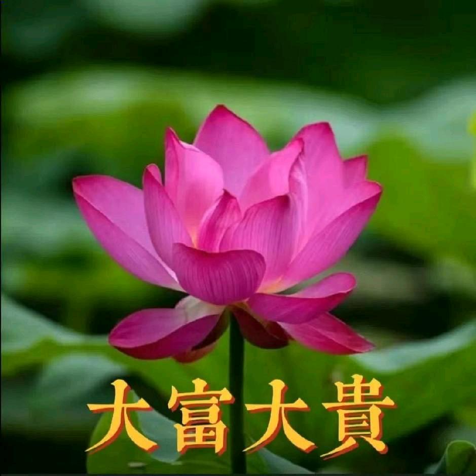 🌈富贵