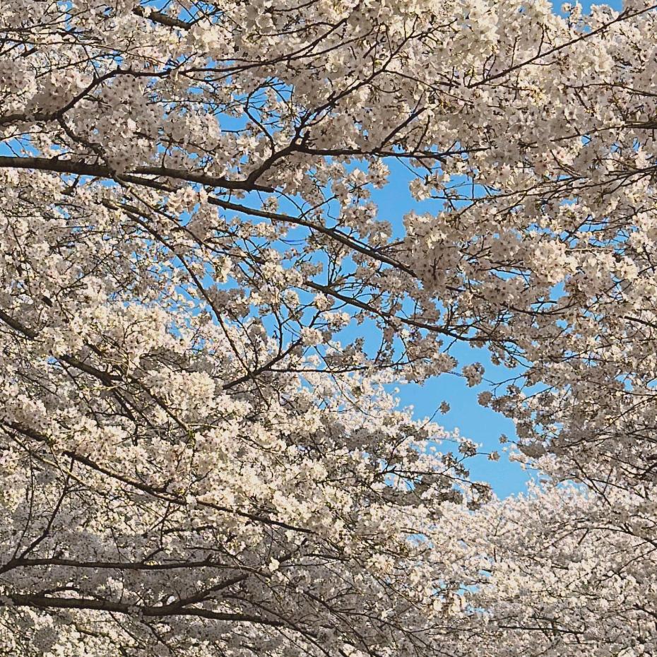 ℡╮執筆╮淺摯絆離兮