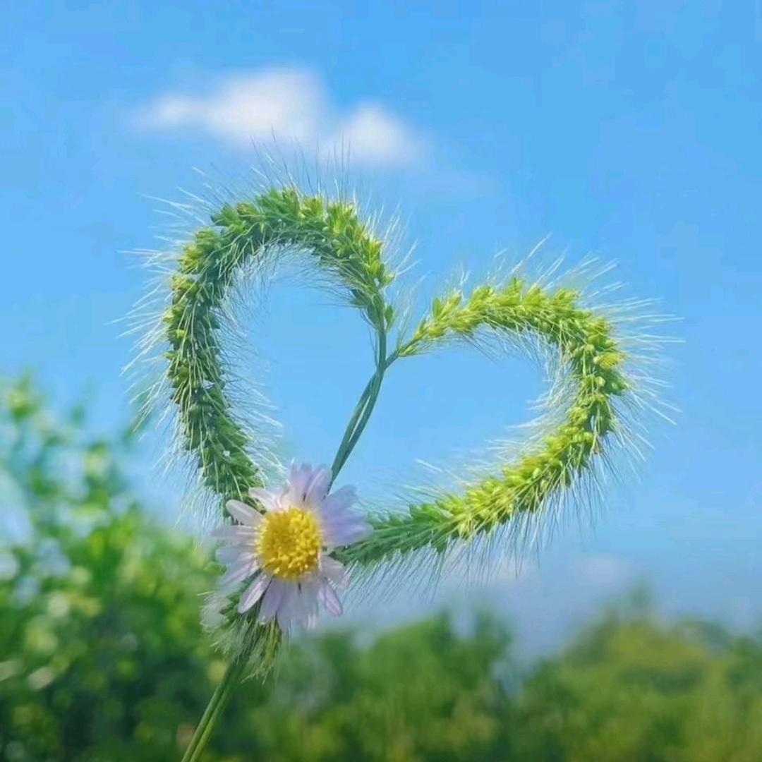 观水得趣