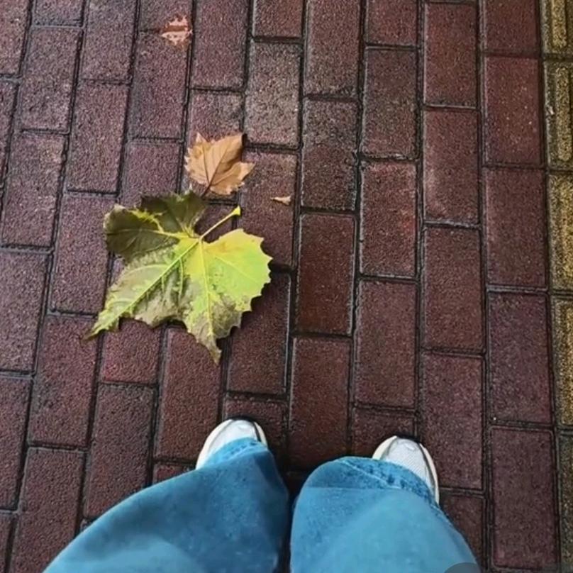 ଘ零૭✧ 渡ദ˶