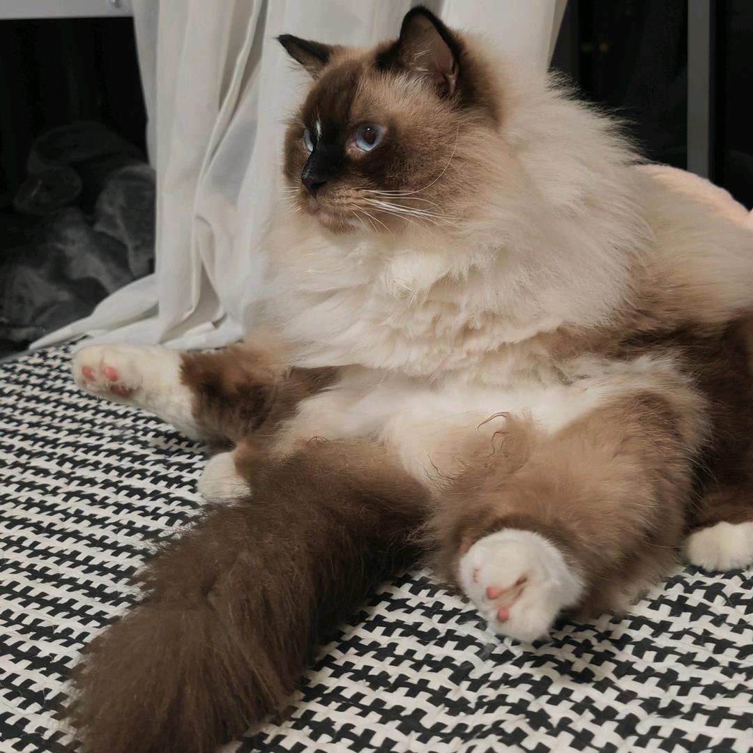 2107