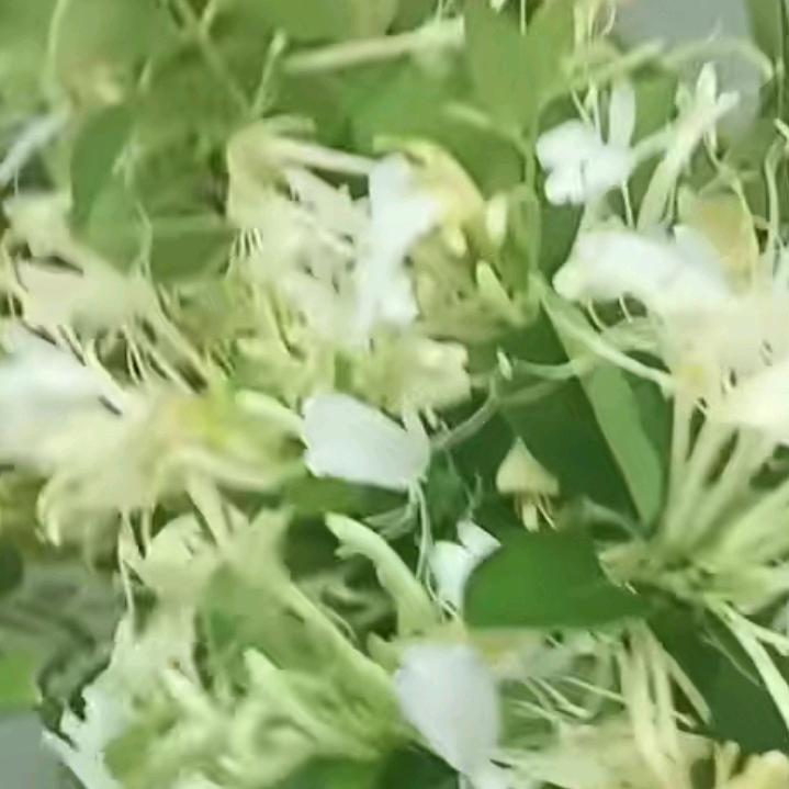 爱笑的你运气不会差