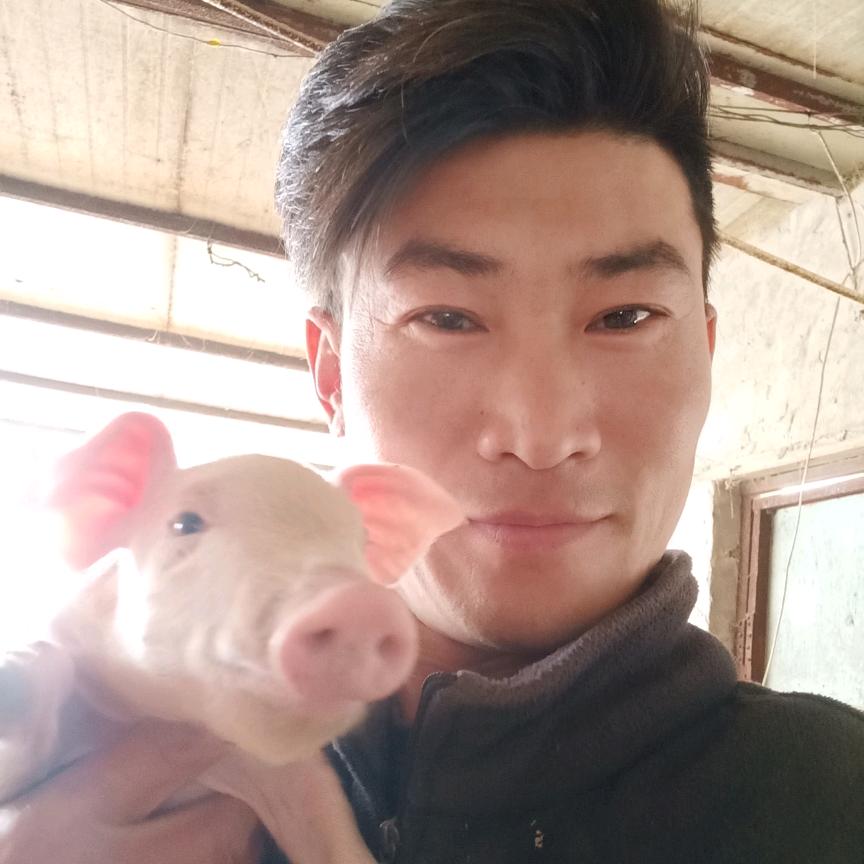 东仔  聊猪
