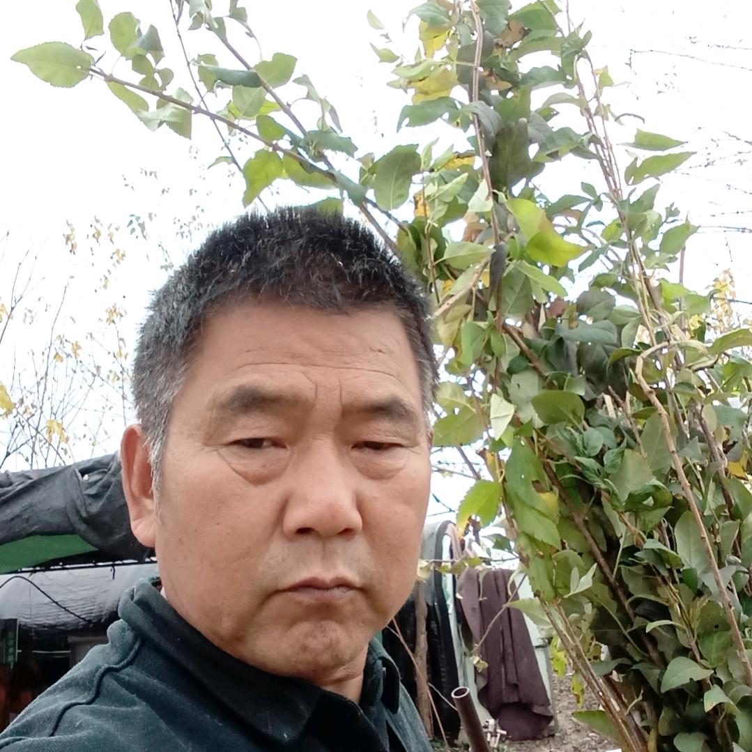 上台菌业