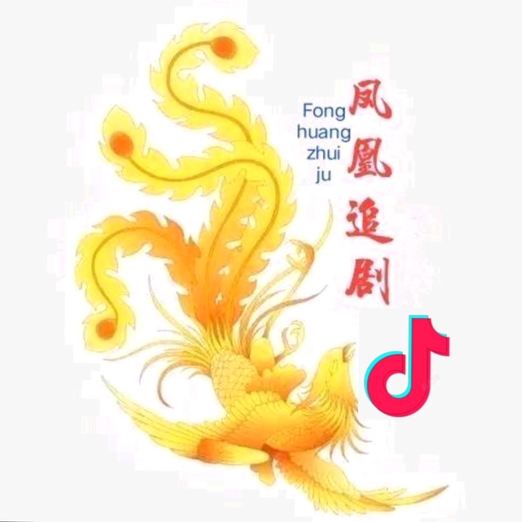 凤凰追剧