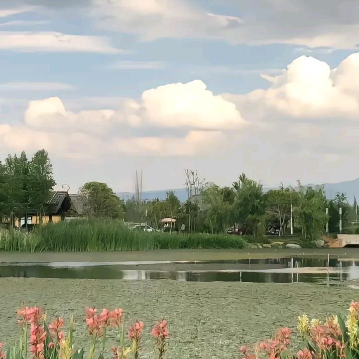 贪财好色😌