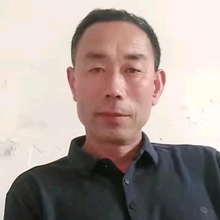 五歌百货