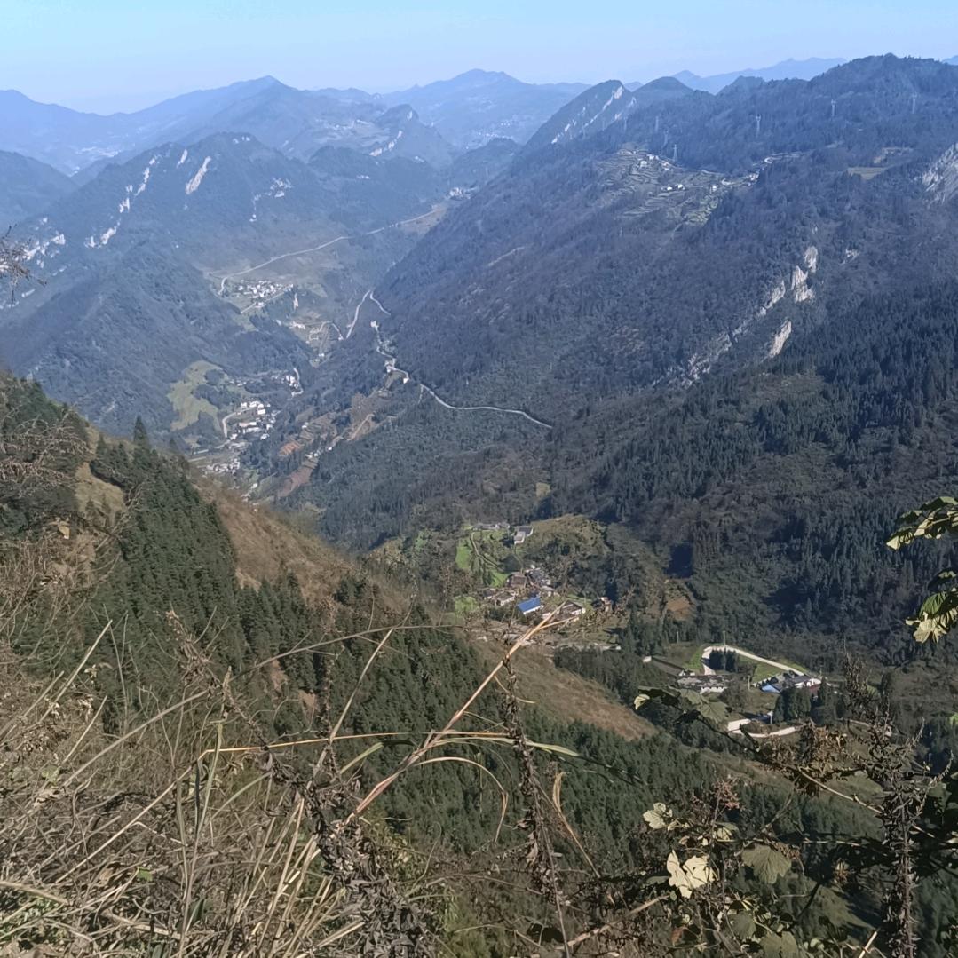 安静的梅香姑