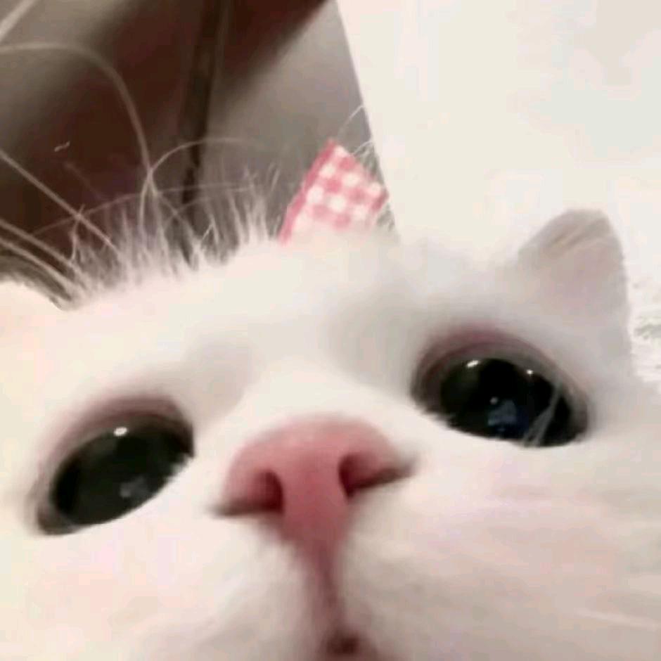 sz