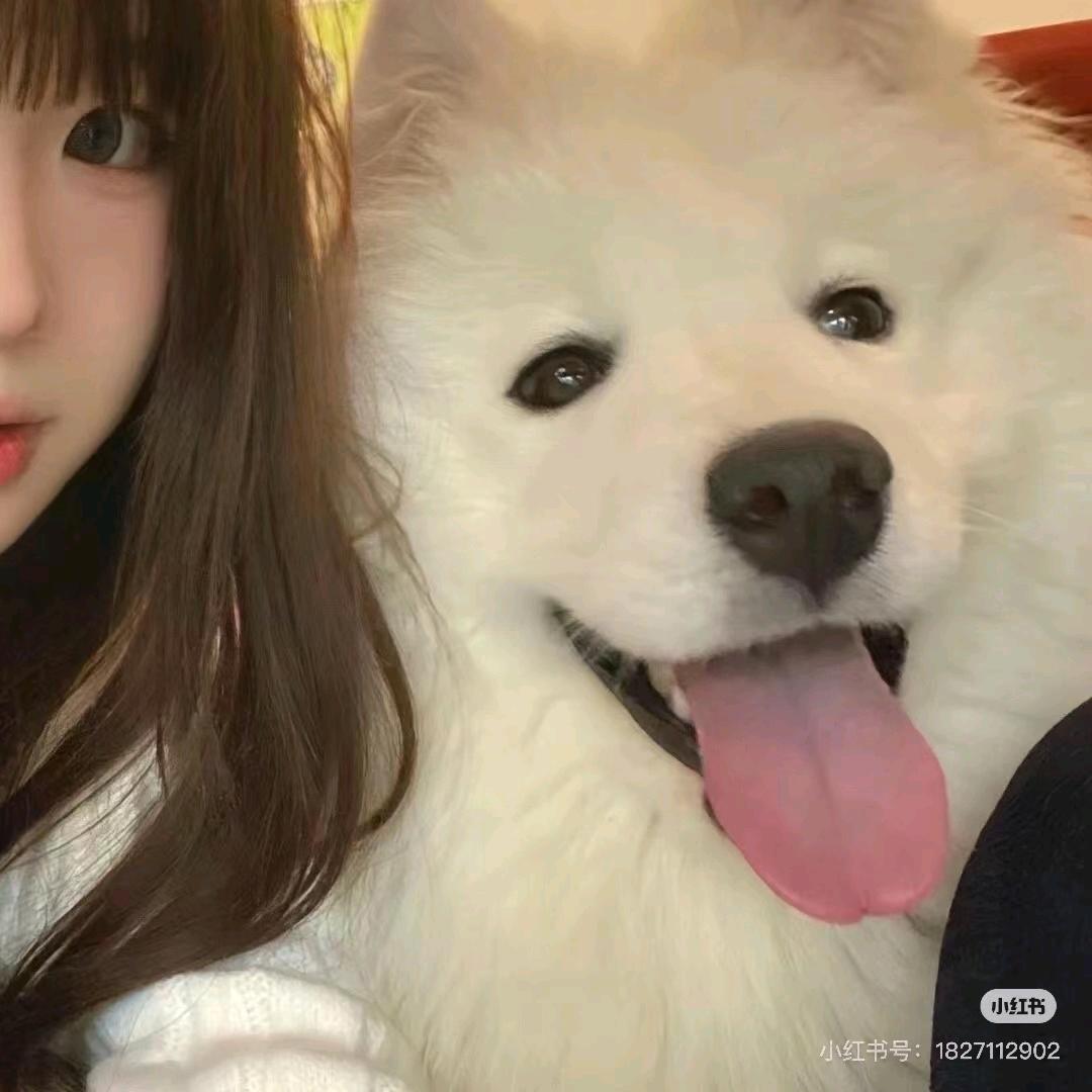 伤心的凉拌菜