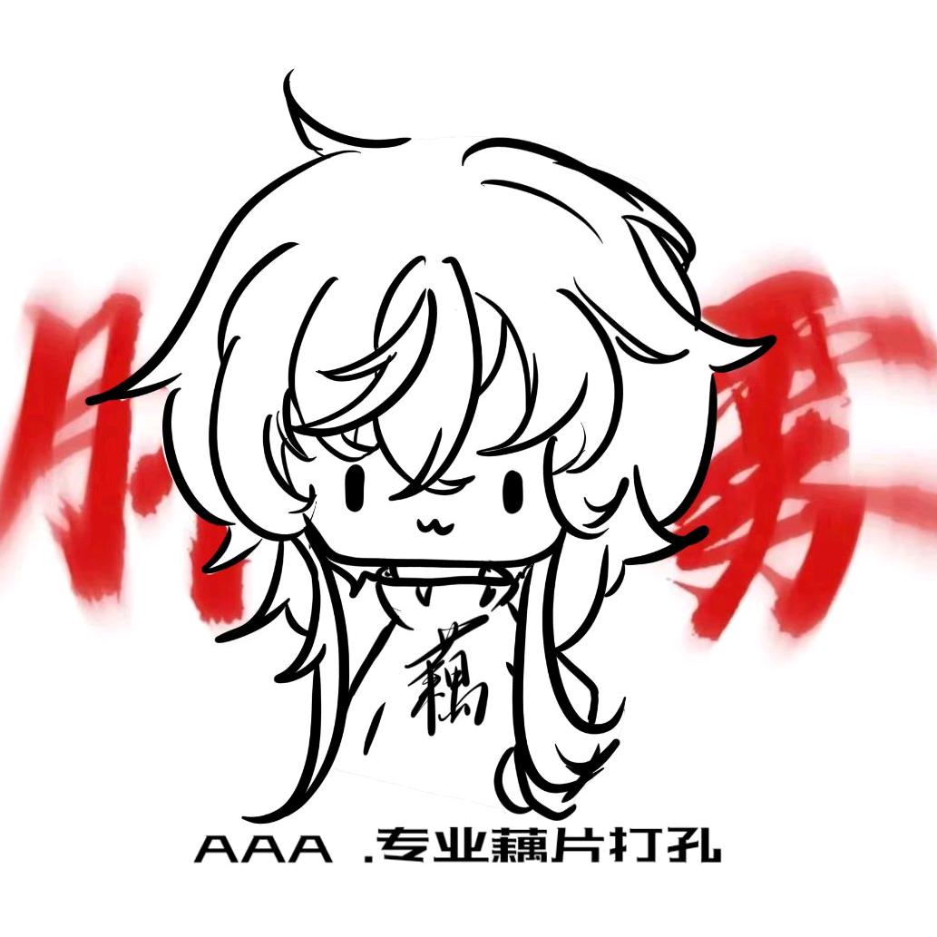 AAA 专业藕片打孔