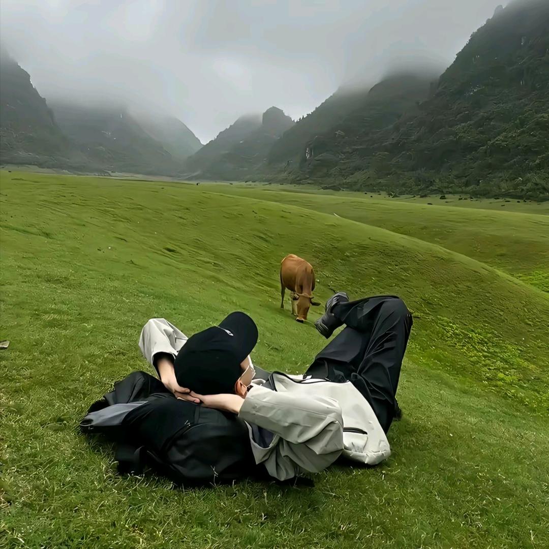 🌈小懒、猪