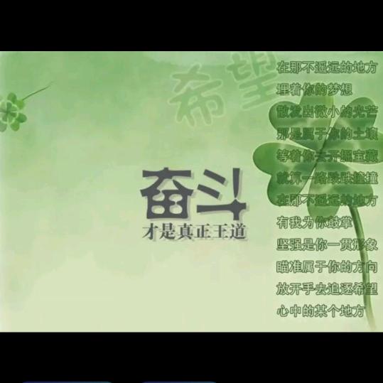 心若向阳🌹自开