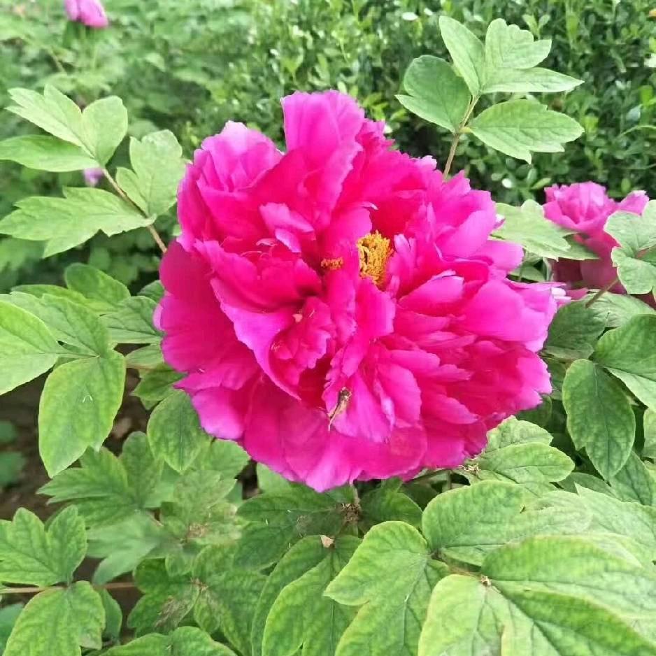 一生平安