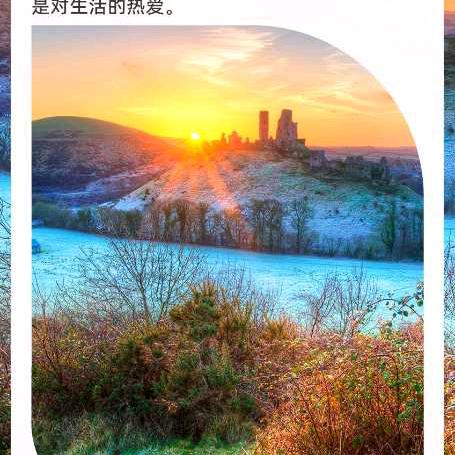 富歌
