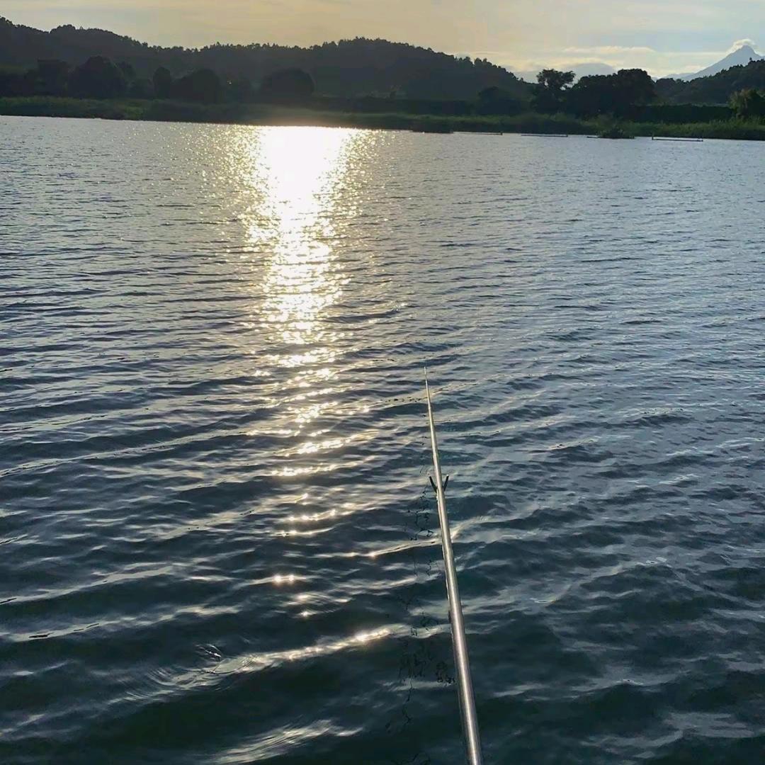 惠州鱼排海钓🎣郑