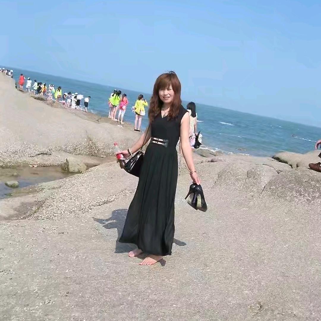 北葵向暖