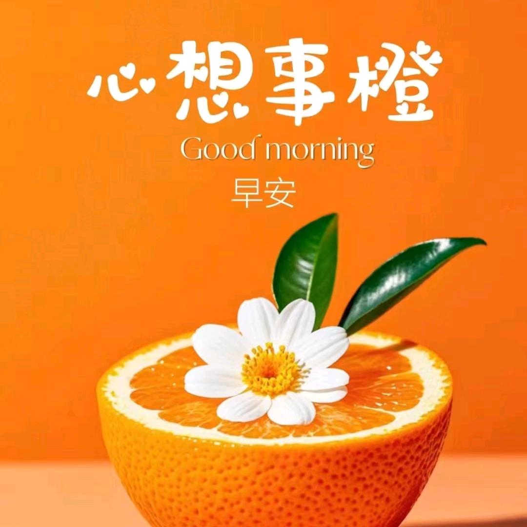 未来可期(拒连赞谢谢)