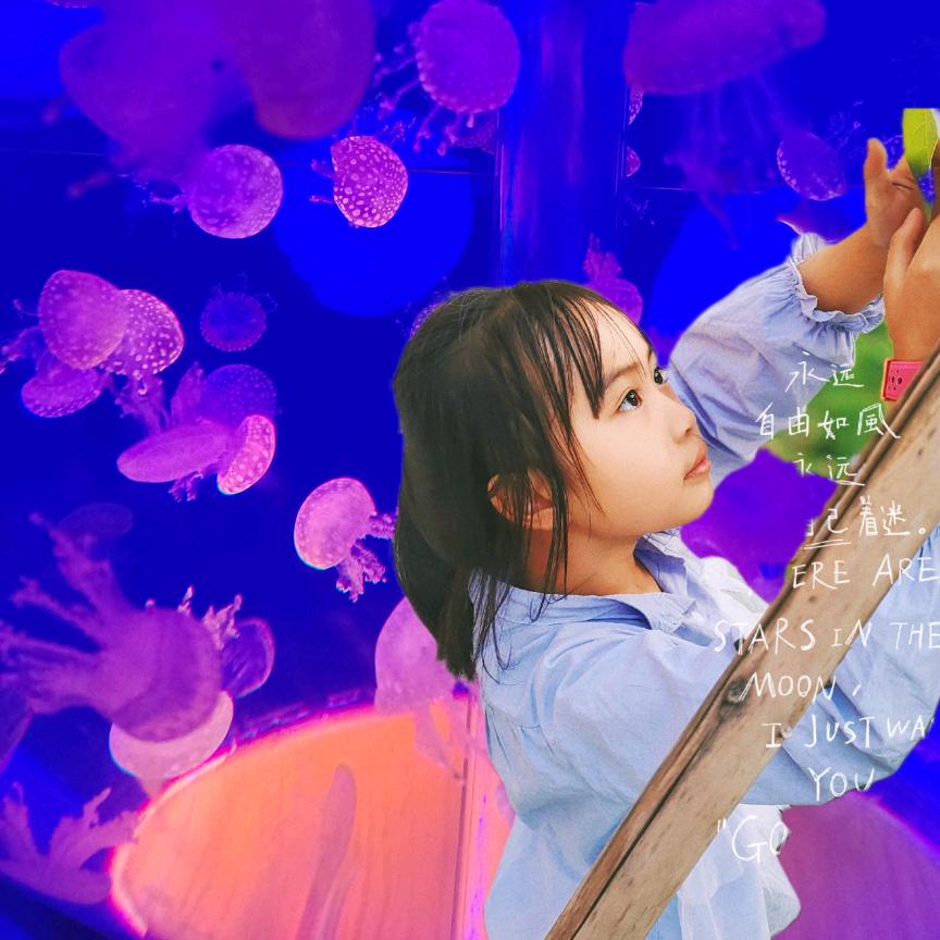 笑看风雨