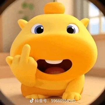 噜噜水豚