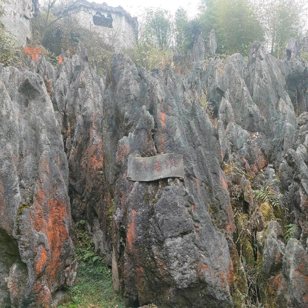照顾自己