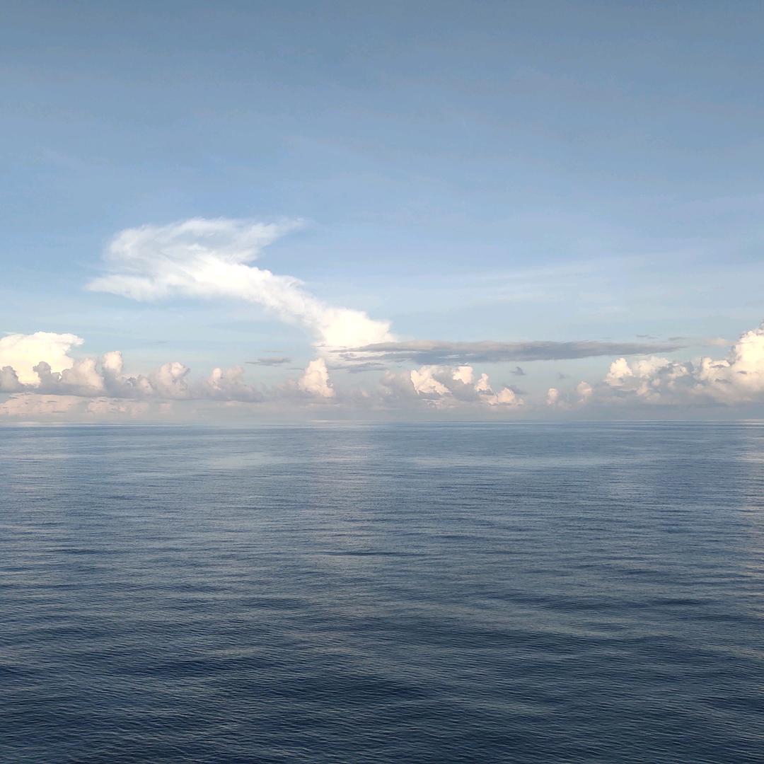 站在船头看世界🚢