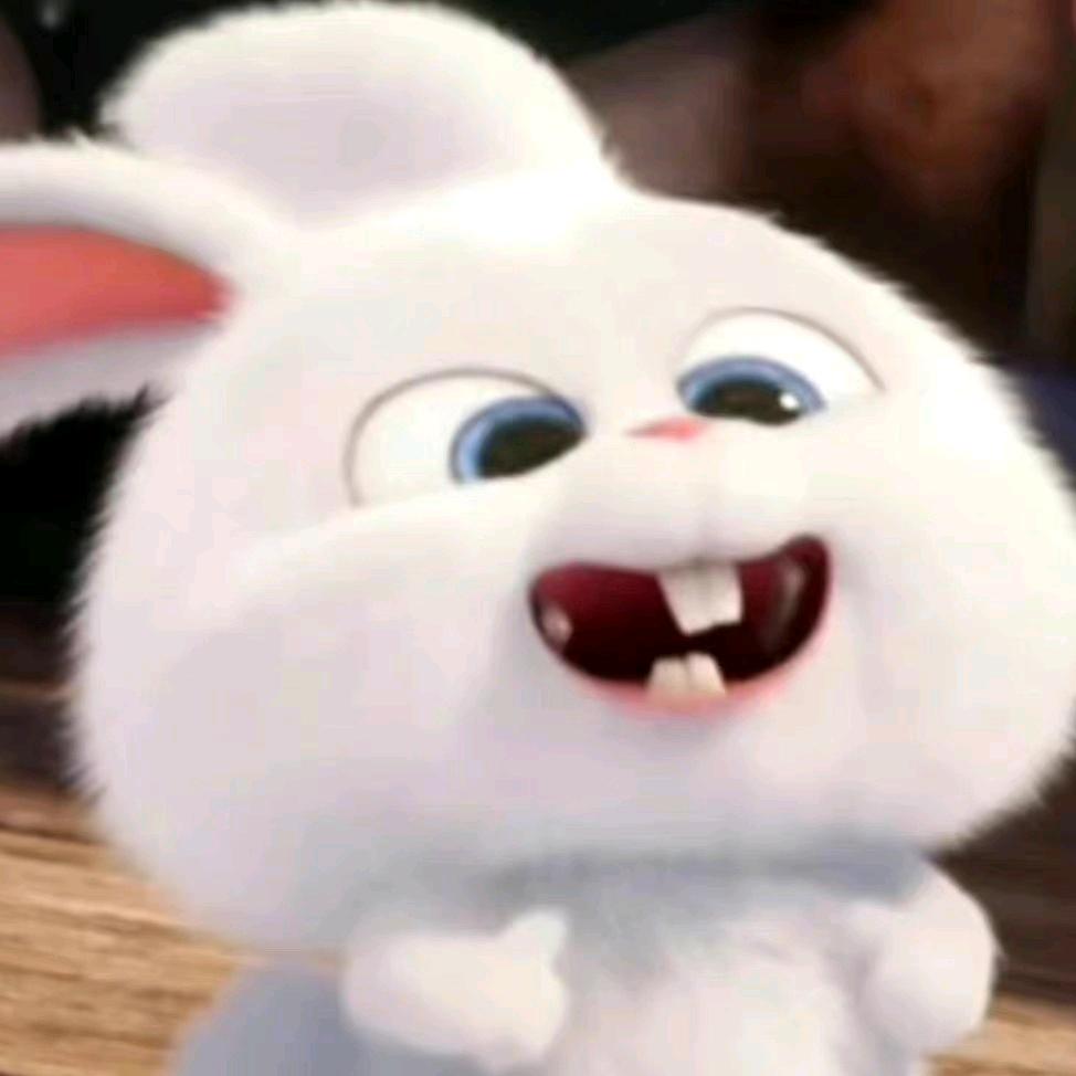 兔牙叽🐰
