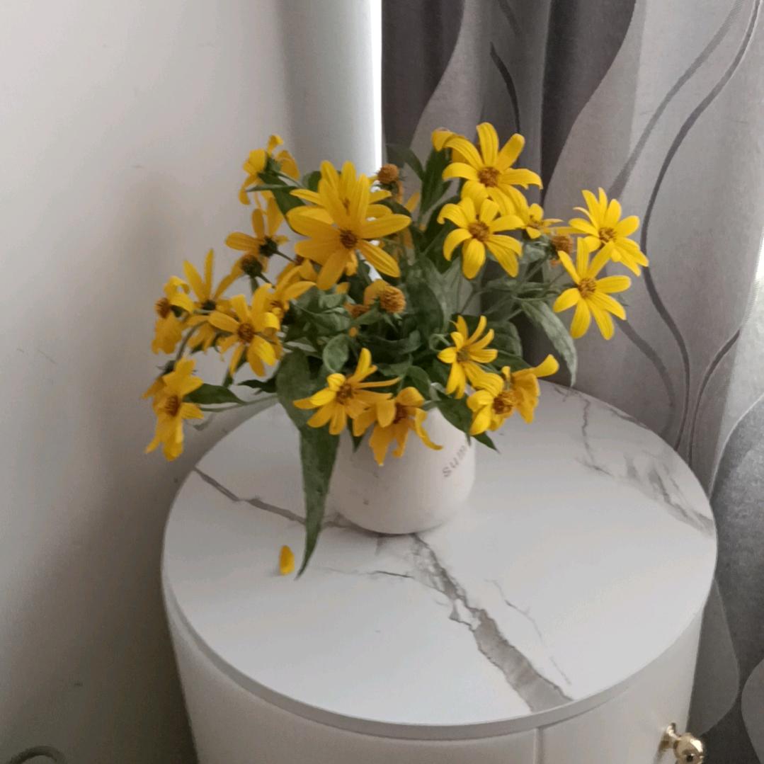 万雅红枫刀削面