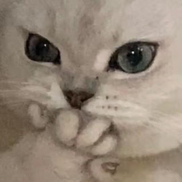 龙罗罗