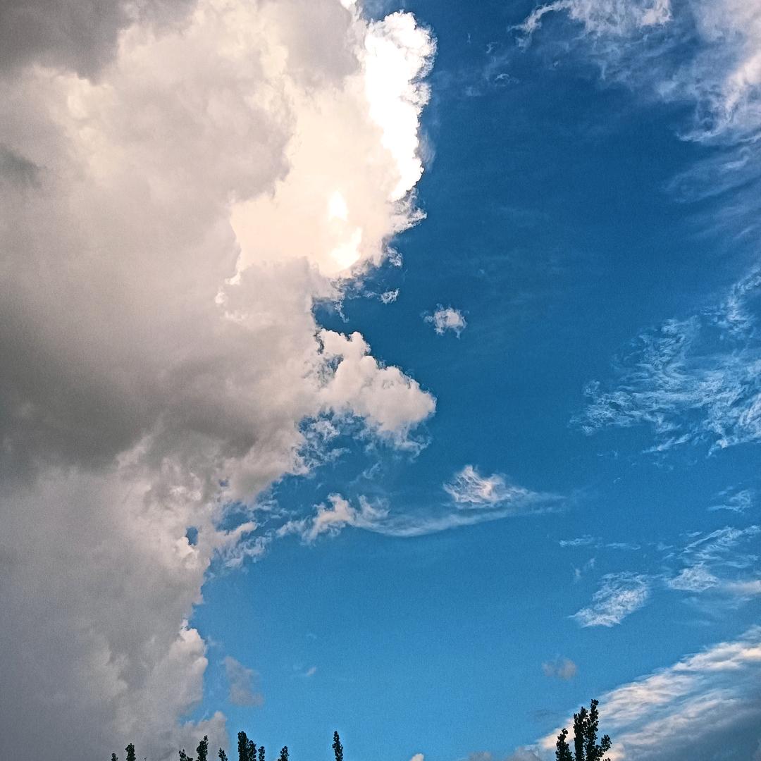 天天/向上之收报废手机